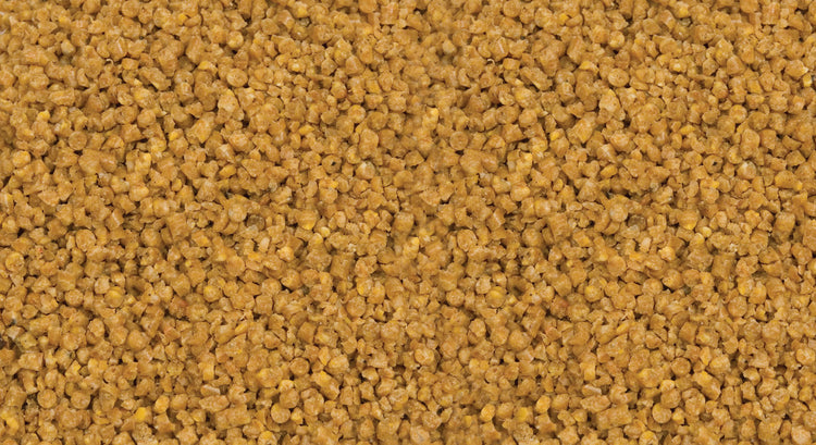 New Roudybush Lower Prices & Nibles Size