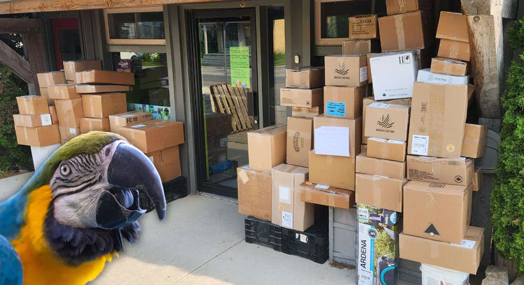 What Goes Into An Exotic Wings Sale - Thank You For A Fantastic Customer Appreciation Sale 2025