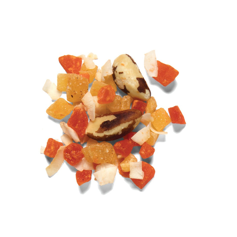 Load image into Gallery viewer, ZuPreem Real Rewards Tropical Mix Large Bird Treat - 170g DISCONTINUED