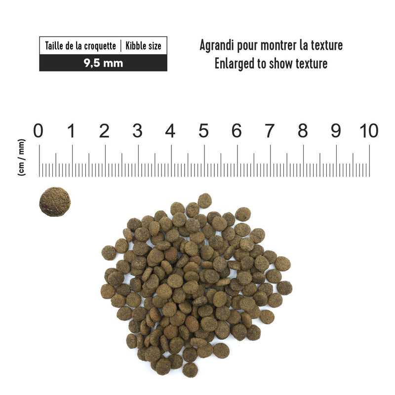 Load image into Gallery viewer, 1st Choice Hypoallergenic Grain Free Cat Food Duck Formula 🍁