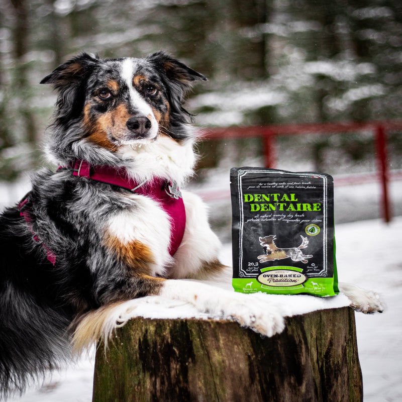 Load image into Gallery viewer, Oven Baked Tradition Dental Treat 10 oz ๐