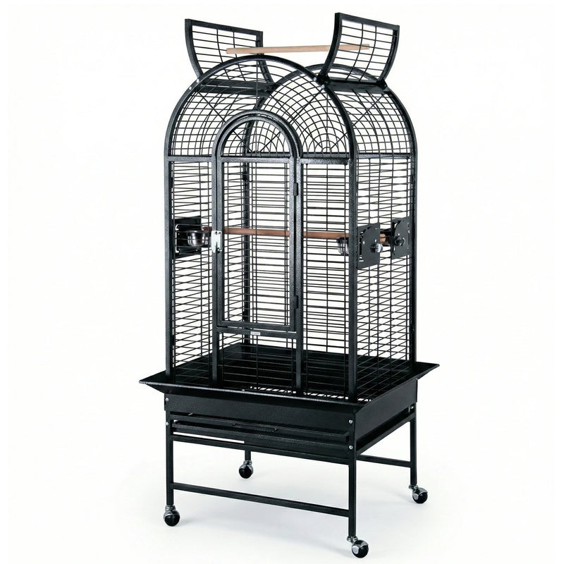 Load image into Gallery viewer, #Colour_Black