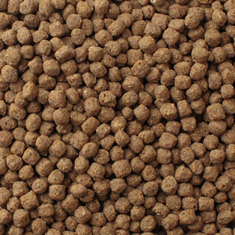Load image into Gallery viewer, Mazuri Koi Platinum Nuggets Floating Diet