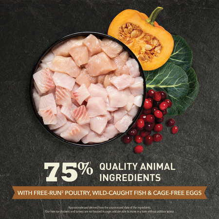 Acana REGIONALS Wild Prairie Grain Free Cat Food 🍁