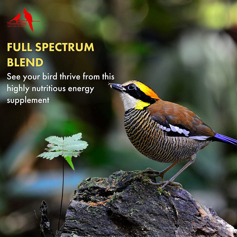 Load image into Gallery viewer, Thrive Sick Bird Formula - 1 oz | 3 oz