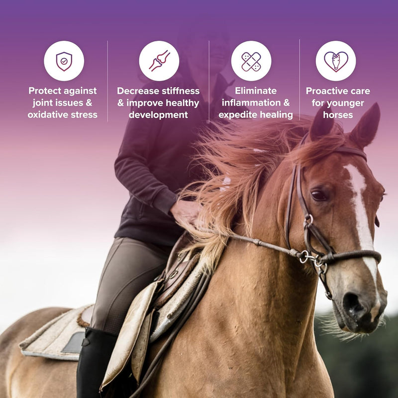 Load image into Gallery viewer, Tri-Acta Regular Strength Equine Mobility Support for Sport/Working & Retired Horses