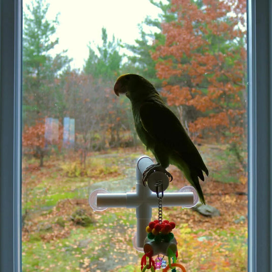 HARI Active Play Fold-Away Shower & Window Perch