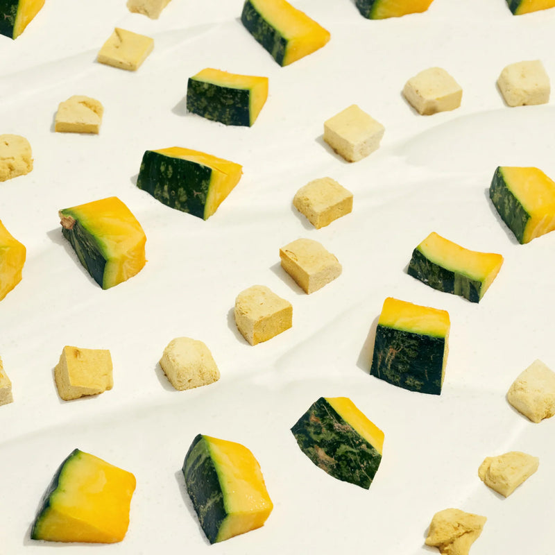 Load image into Gallery viewer, ANYTIME YOGURT! Freeze-Dried Pumpkin & Greek Yogurt Dog Treat - 2 oz