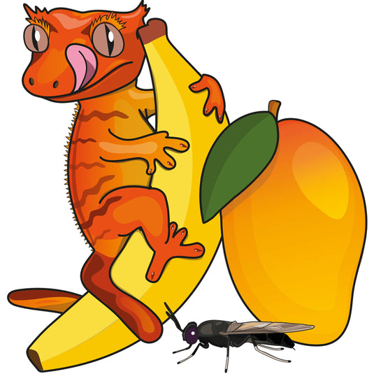 Blue River Diets Fruit & Bug Flavour Gecko Food