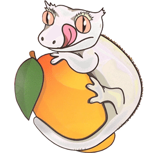 Blue River Diets Mango Madness Flavour Gecko Food