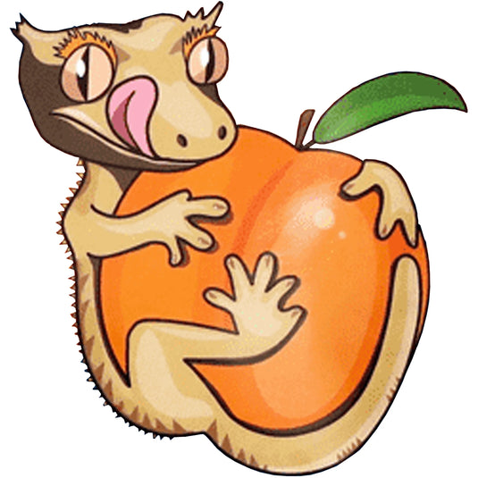 Blue River Diets Peach Paradise Flavour Gecko Food