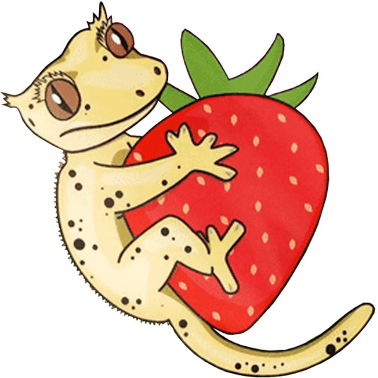 Blue River Diets Strawberry Swirl Flavour Gecko Food