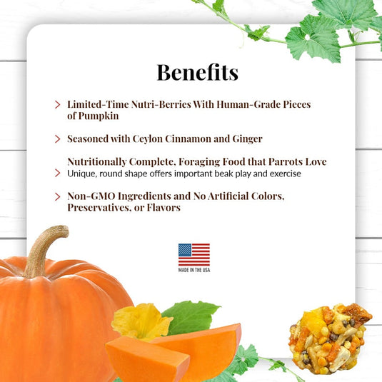 Lafeber's LIMITED EDITION Pumpkin Spice Nutri-Berries Small Bird