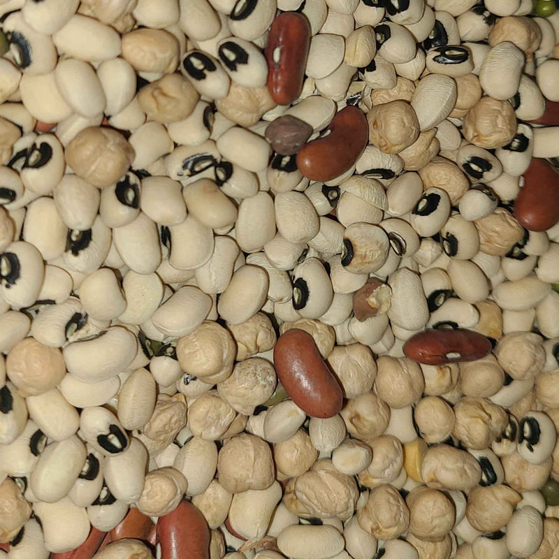 Load image into Gallery viewer, Exotic Wings Dry Protein Mix for Birds 1 kg - Made by Lisa