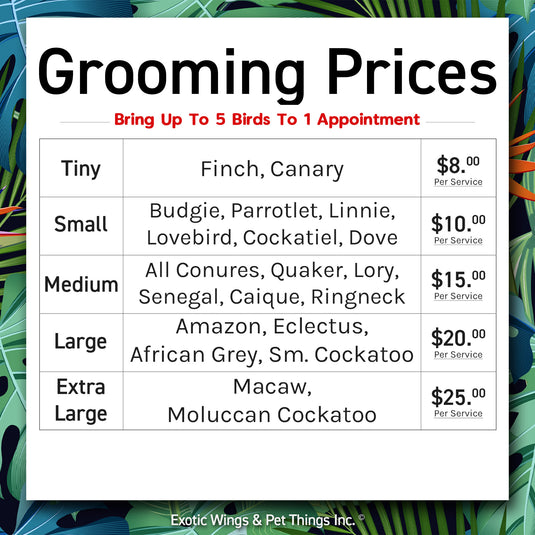 Bird Grooming Appointments