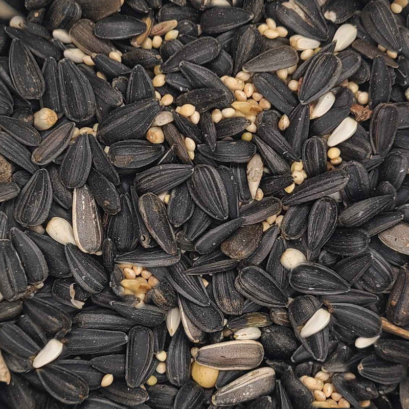 Load image into Gallery viewer, Black Magic Wild Bird Seed ๐