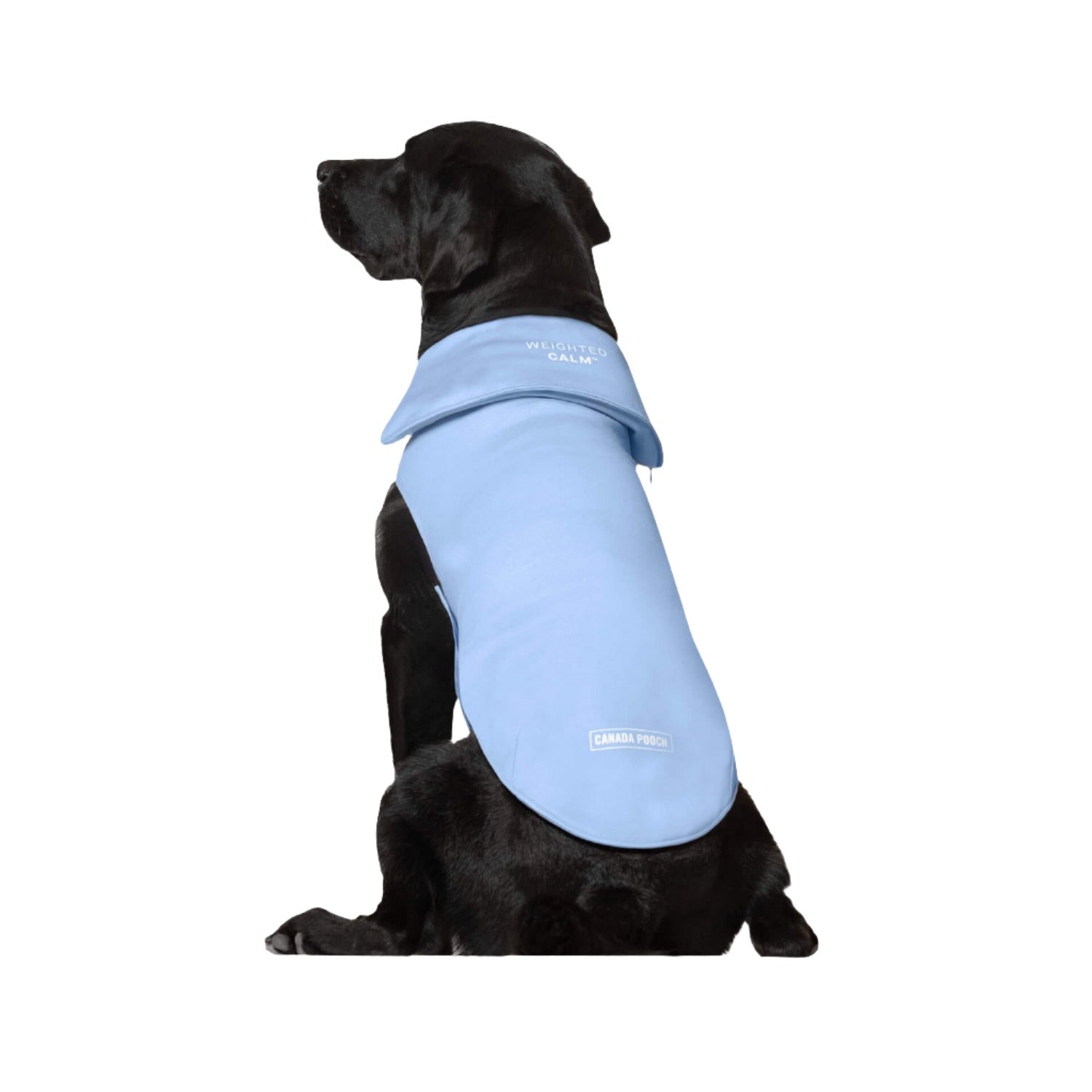 Calming Weighted Vest for Dogs l Sizes For All Dogs Available