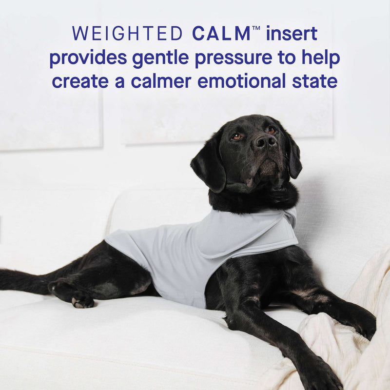 Load image into Gallery viewer, Calming Weighted Vest for Dogs 🍁