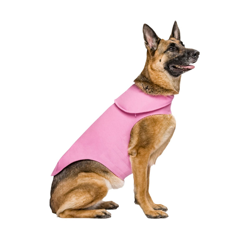 Load image into Gallery viewer, #Colour_Pink