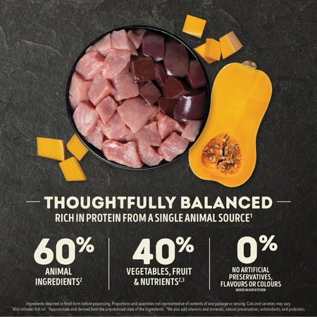 Acana SINGLES Grain Free Dog Food - Pork with Squash 🍁