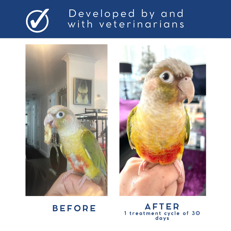 Load image into Gallery viewer, Casozen Anti Stress and Feather Plucking Remedy for Parrots - 30 Capsules