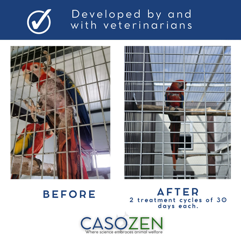 Load image into Gallery viewer, Casozen Anti Stress and Feather Plucking Remedy for Parrots - 30 Capsules