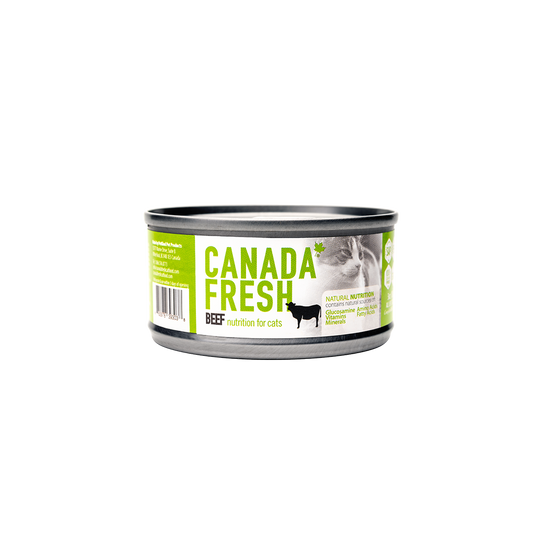 Canada Fresh Beef Pate Wet Cat Food 🍁