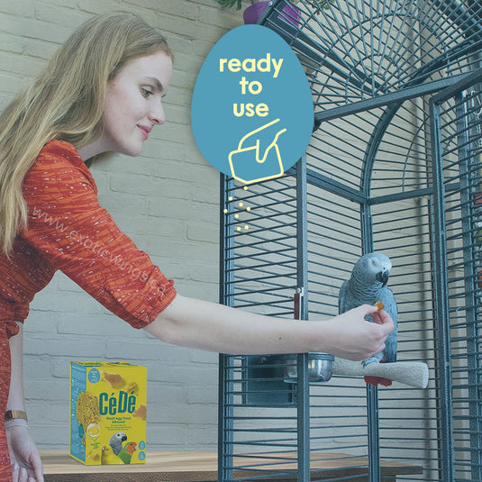 Woman interacting with a parrot in a cage, with a CeDe product in the foreground.