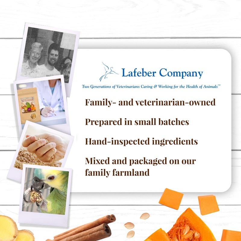 Load image into Gallery viewer, Lafeber's LIMITED EDITION Pumpkin Spice Nutri-Berries for Parrots