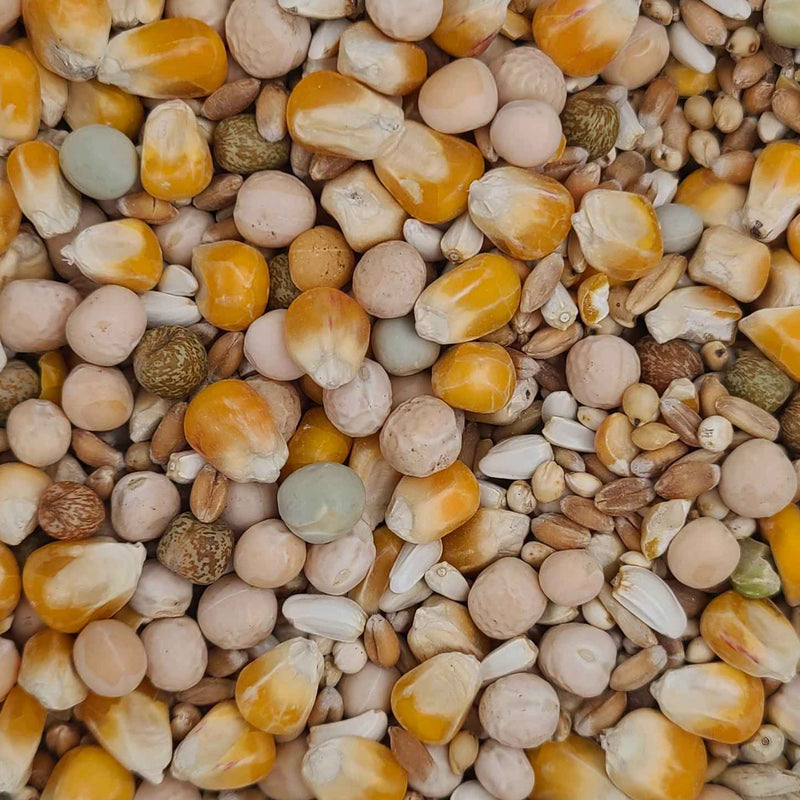 Load image into Gallery viewer, Pigeon Seed Mix # 1 🍁