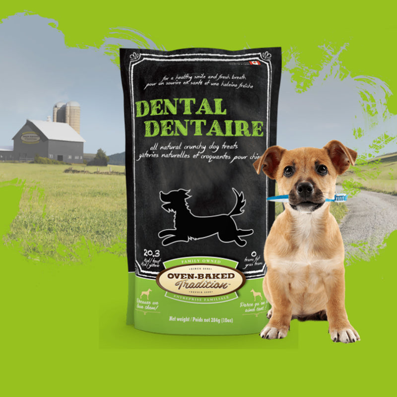 Load image into Gallery viewer, Oven Baked Tradition Dental Treat 10 oz ๐