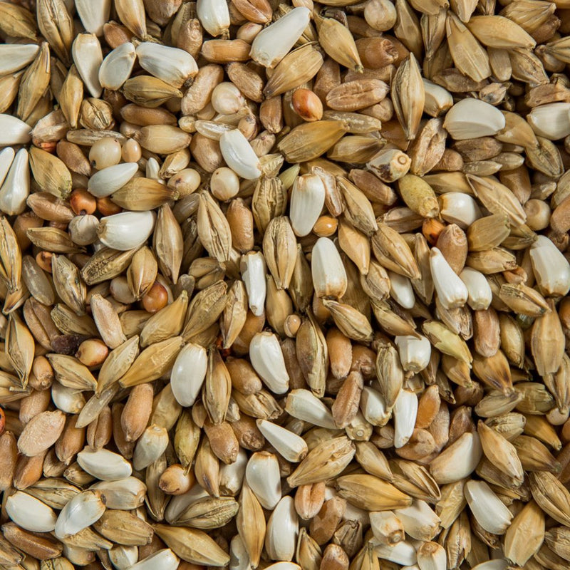 Load image into Gallery viewer, Pigeon Depurative Diet Mix 🍁