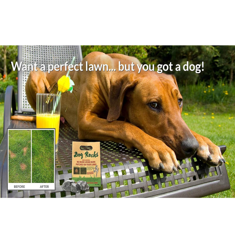 Load image into Gallery viewer, Dog Rocks Lawn Savers no Pet Burn Patches!