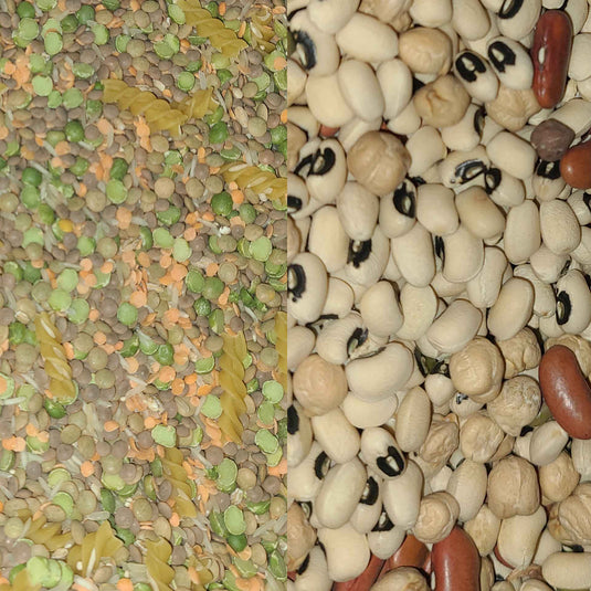 Exotic Wings Dry Protein Mix for Birds 1 kg - Made by Lisa