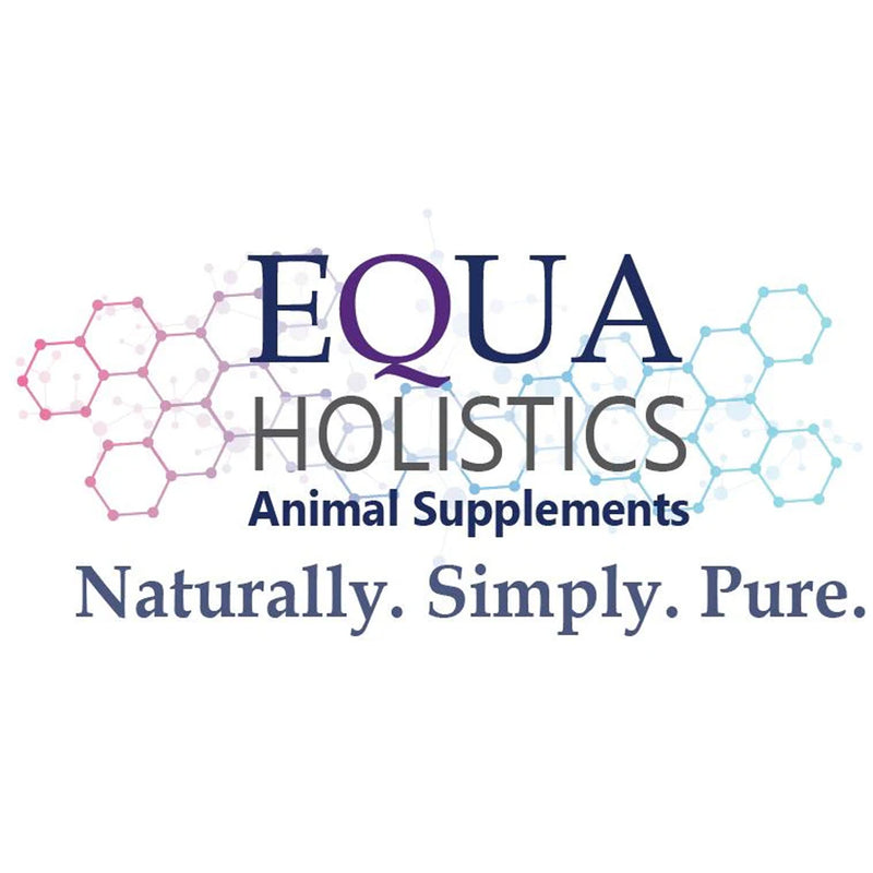 Load image into Gallery viewer, Equa Holistics BioFeather Small Bird 45g