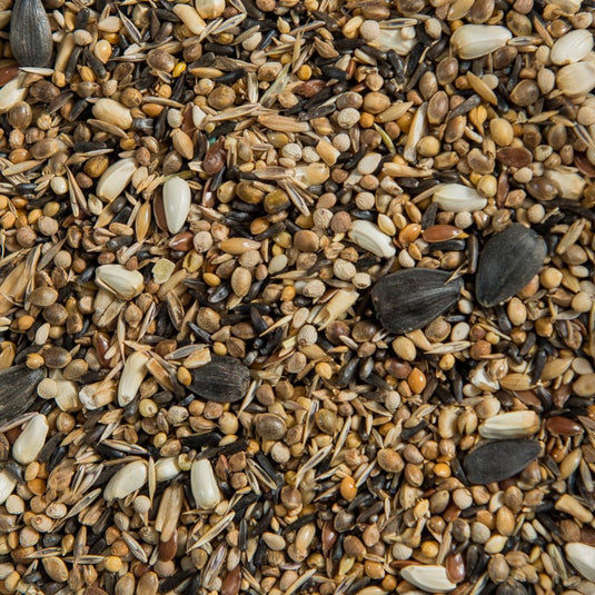 Euro Gold Seed Mix for European Gold - Bull - Green Finch 🍁