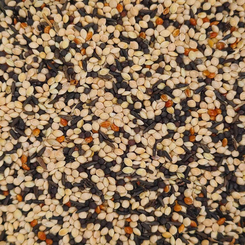 Load image into Gallery viewer, Fancy Finch Wild Bird Seed with Nyjer π