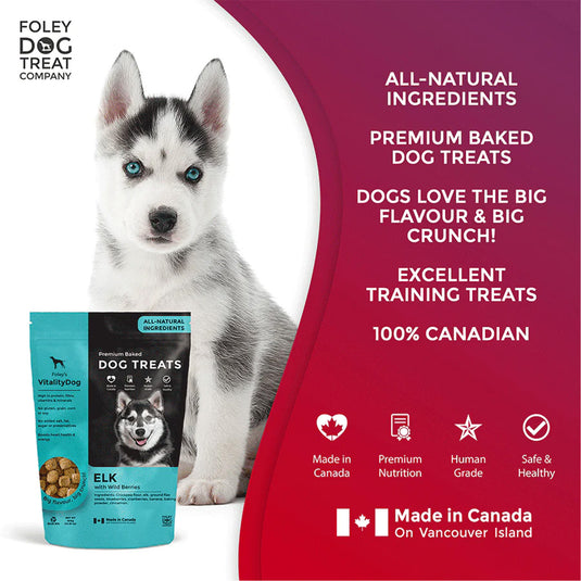 Foley's Vitality Dog Treat - Elk with Wild Berries