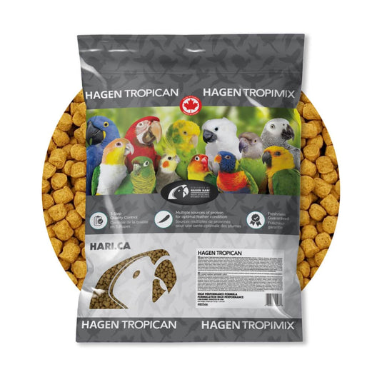 Tropican High Performance 8mm Rounds Spheres - Parrots 🍁