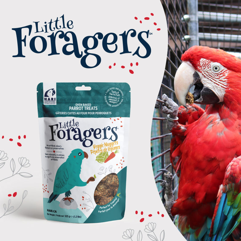 Load image into Gallery viewer, Little Foragers Treats Veggie Nuggets - Parrot 🍁
