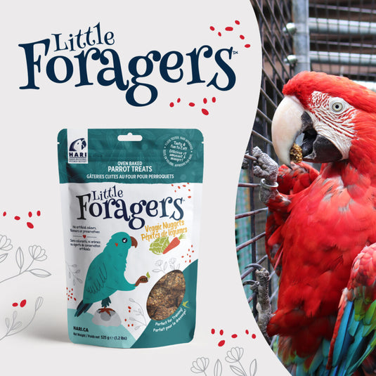 Little Foragers Treats Veggie Nuggets - Parrot 🍁