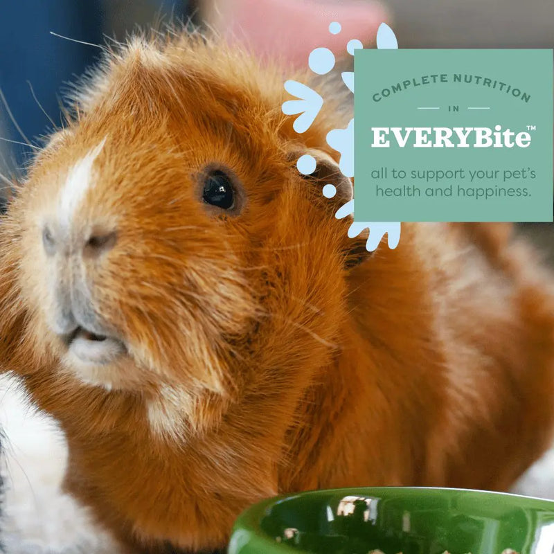 Load image into Gallery viewer, Oxbow Essentials Senior Guinea Pig Food