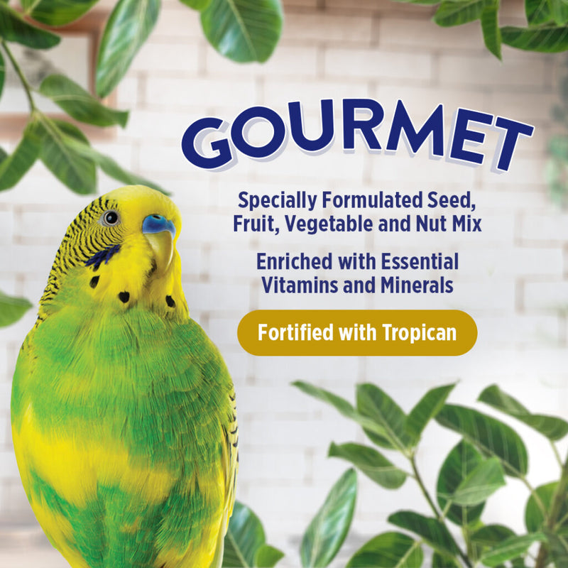 Load image into Gallery viewer, Gourmet Premium Seed Mix - Budgies 🍁