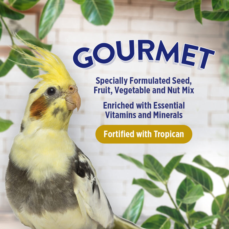 Load image into Gallery viewer, Gourmet Premium Seed Mix - Cockatiels 🍁