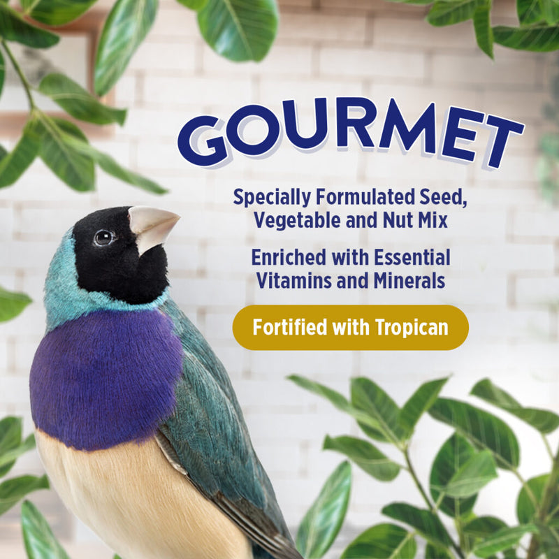 Load image into Gallery viewer, Gourmet Premium Seed Mix - Finch 🍁