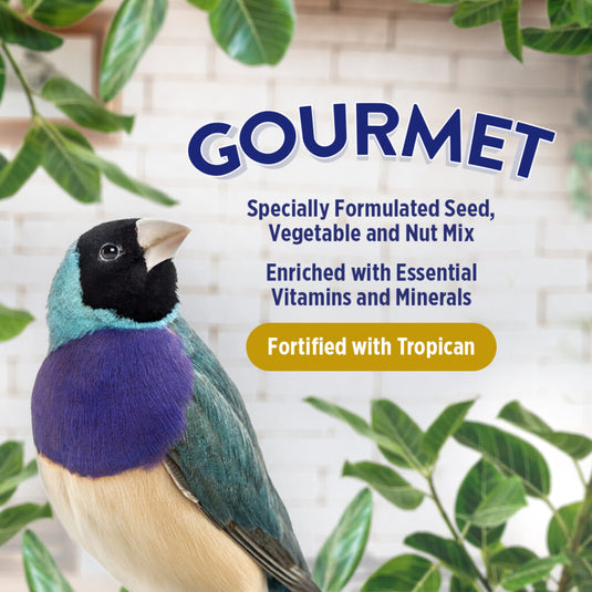 Gourmet Premium Seed Mix - Finch 🍁