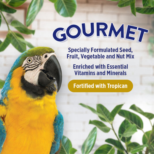 Gourmet Premium Seed Mix - Large Parrot 🍁