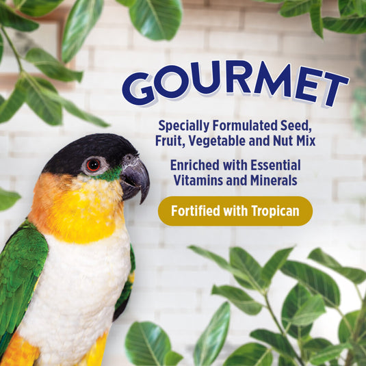 Gourmet Premium Seed Mix - Parrot 🍁