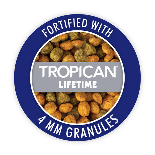 Gourmet Premium Seed Mix - Parrot 🍁