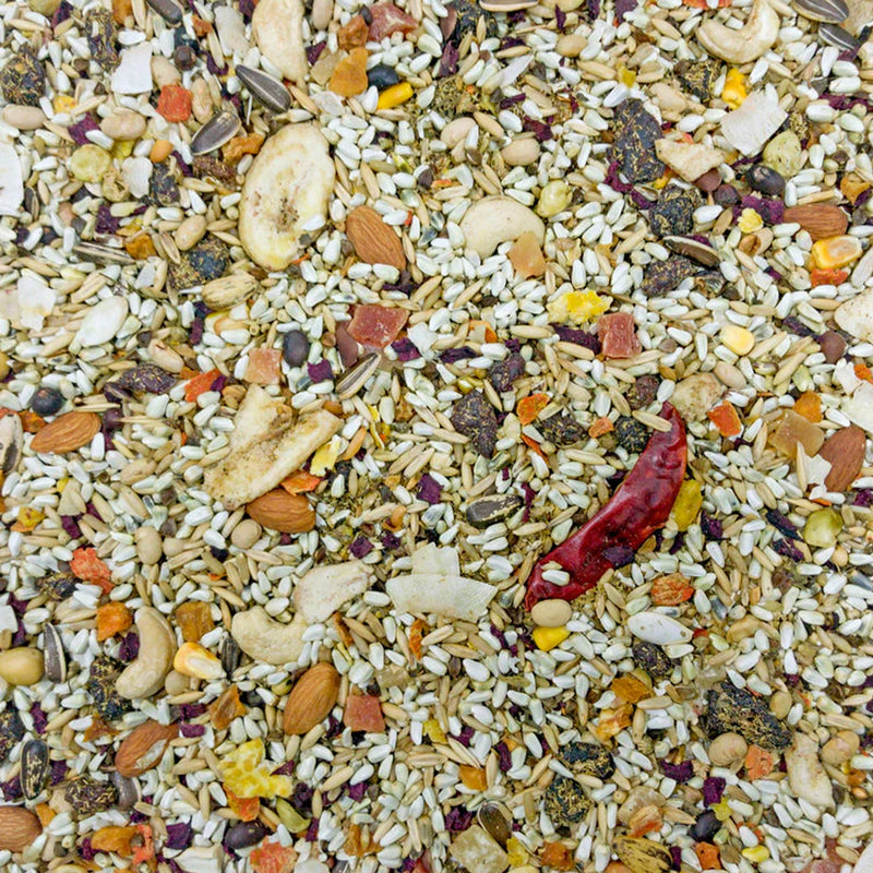 Load image into Gallery viewer, Higgins Mayan Harvest Tikal Seed Mix